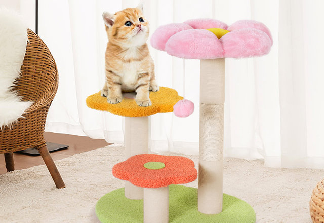 On Sale Now: Cat Trees